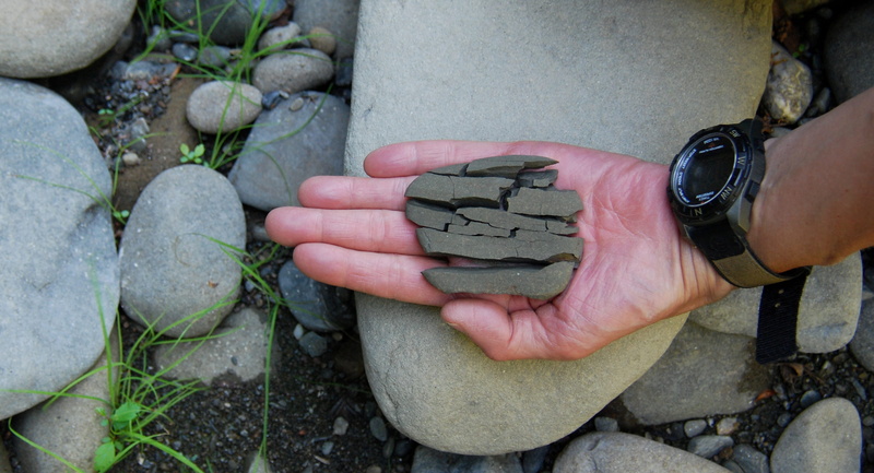 nature, outdoors, humboldt redwoods state park, human hand, lifestyles, rock, hand, humboldt, fracture, contrasts, solid, bull creek, time, one person