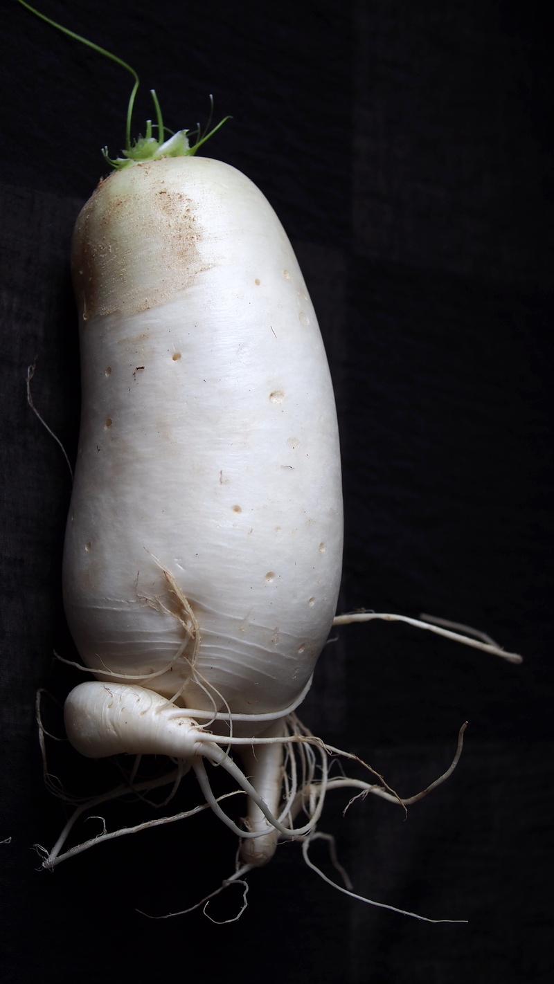 table, taste, white color, radix, vegetable, root vegetable, Radish, plant, black and white, wellbeing, White, Raphanus, body, garlic clove, food, nutrition
