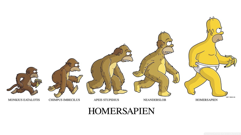 The Simpsons, humor, evolution, Homer Simpson, 2K
