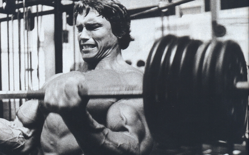 kachek, the Human Body, professional Sport, body Building Exercises, masculinity, heavy, activity, males, adult, sports Clothing, dumbbell, Producer, muscular Build