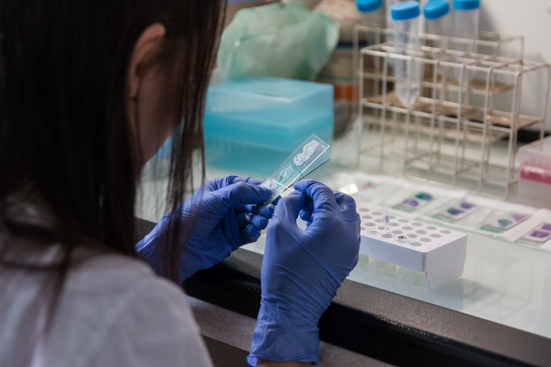 skill, diagnostics, medical research, health, lab coat, protective glove, surgical glove, plastic, panel, woman, one person, science, the test, protection