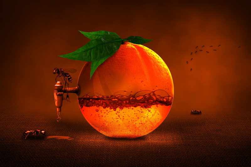 food and drink, indoors, nature, 5K, water, extract, healthy eating, animal, leaf, food, fruit, orange, studio shot, full length, orange color, animal themes