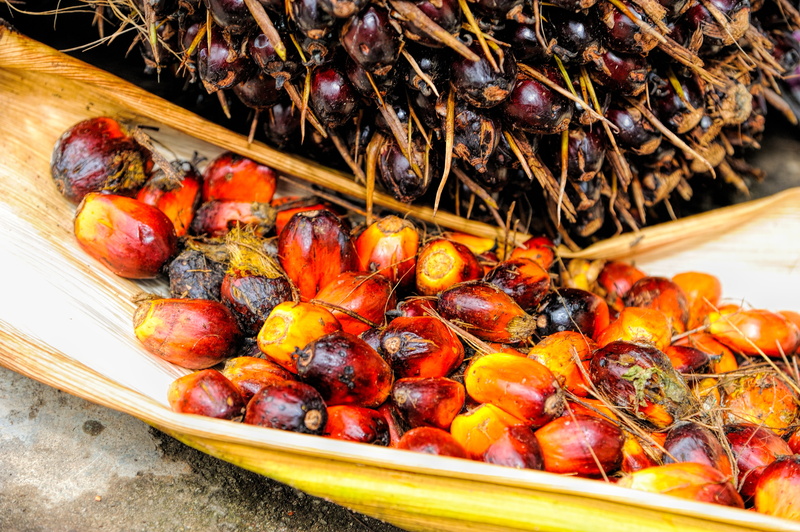 commodity, palm oil, crop, for sale, oil industry, red, produce, incomplete, indoors, tray, harvest, industrial, raw material, day, ready-to-eat, energy
