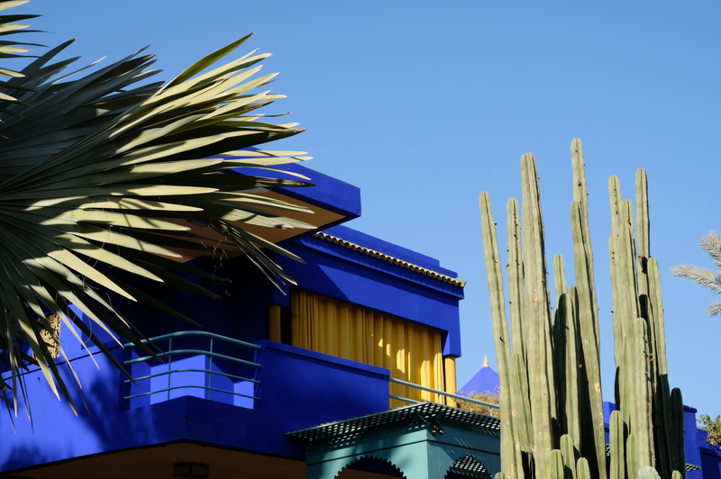 urban, housing, built structure, no people, city, morocco, day, painted, green, building exterior, neighborhood, cacti, palm tree, office, sunlight, cactus