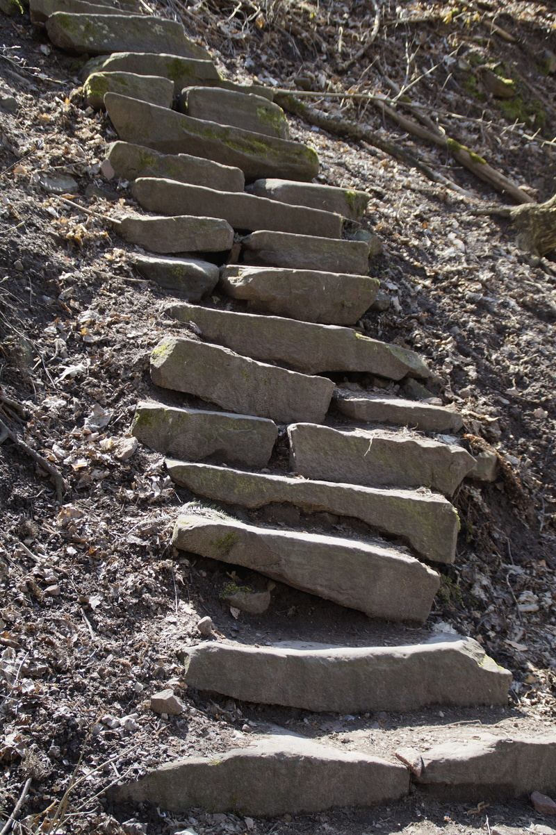 no people, rock - object, architecture, steep, plant, forest path, stairs, climb, rock, stone blocks, sunlight, staircase, stone, tranquility, jacobs ladder