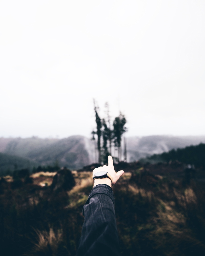 holding, view, tree, human hand, pointing, one person, land, outdoors, copy space, human body part, focus on foreground, go, day, forward, onward, nature
