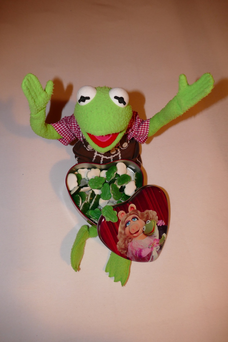 friends, indoors, close-up, multi colored, look forward, toy, rubber frogs, decoration, frog, green color, miss piggy, box, mammal, animal, art and craft
