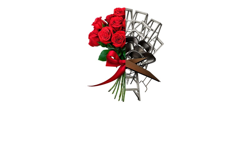 flowering plant, cut out, still life, rose, inflorescence, decoration, plant, 1080P, beauty in nature, indoors, no people, bouquet, flower, studio shot