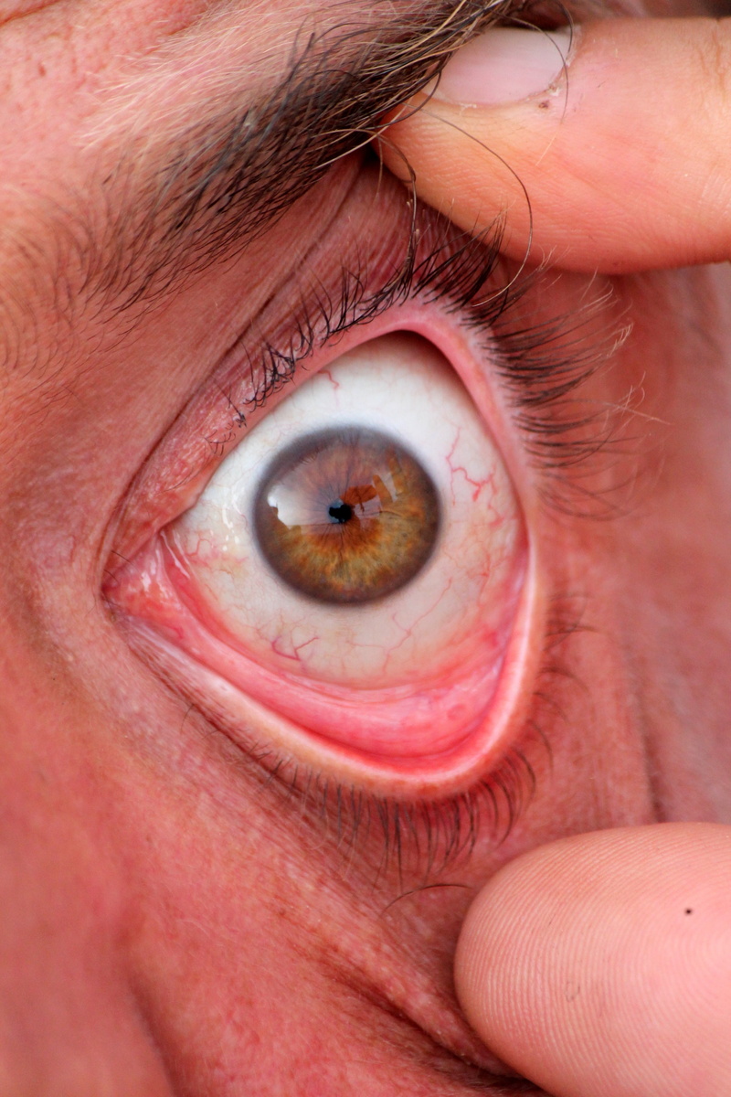 eyelashes, eyebrow, hand, human Face, eye, 4K, close-up, extreme close-up, sensory perception, finger, real people, pupil, human body part, fingers, human hand