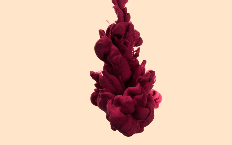 flower head, clot, flower, studio shot, freshness, plant, isolated, nature, close-up, shape, art, cut out, smoke, pink color, illustration, indoors, petal