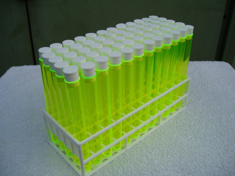 green color, lab, test tube, indoors, test tube rack, biochemistry, clear, side by side, plastic, still life, close-up, laboratory, healthcare and medicine