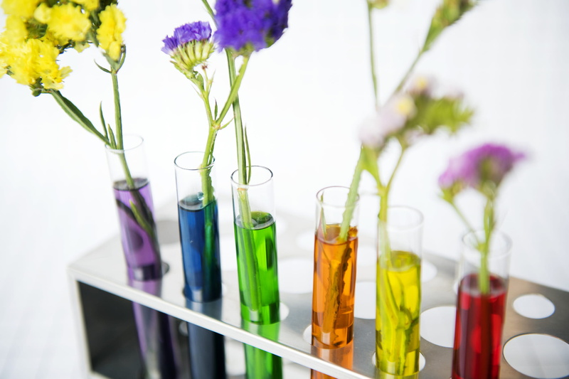 bright, research, transparent, glass - material, flowering plant, blooming, experiment, bloom, beautiful, flora, rack, decor, nature, test tubes, test