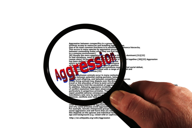 calamity, analyzing, wikipedia, difficulty, communication, human body part, magnifying glass, emergency, hand, investigation, business, indecision, white background