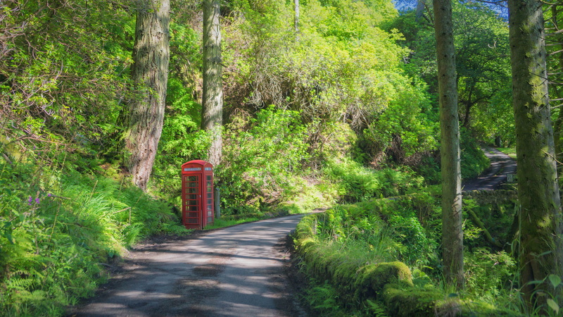 phonebox, land, 5K, rural, track, plant, woodland, tranquil scene, scenics - nature, outdoors, the way forward, forest, no people, nature, green, outside