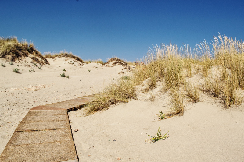land, road, pathway, unknown, future, blue, climate, desert, walkway, sand, outdoors, daytime, 5K, path, success concept, strategy, nature, day, environment
