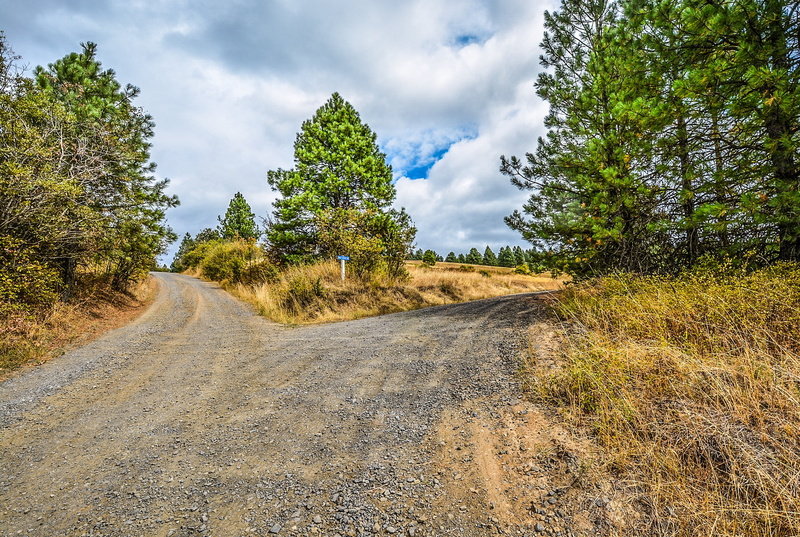 cross, two, non-urban scene, tranquility, scenics - nature, road, rural scene, fork in the road, no people, landscape, 2K, white, trees, outdoors, forked