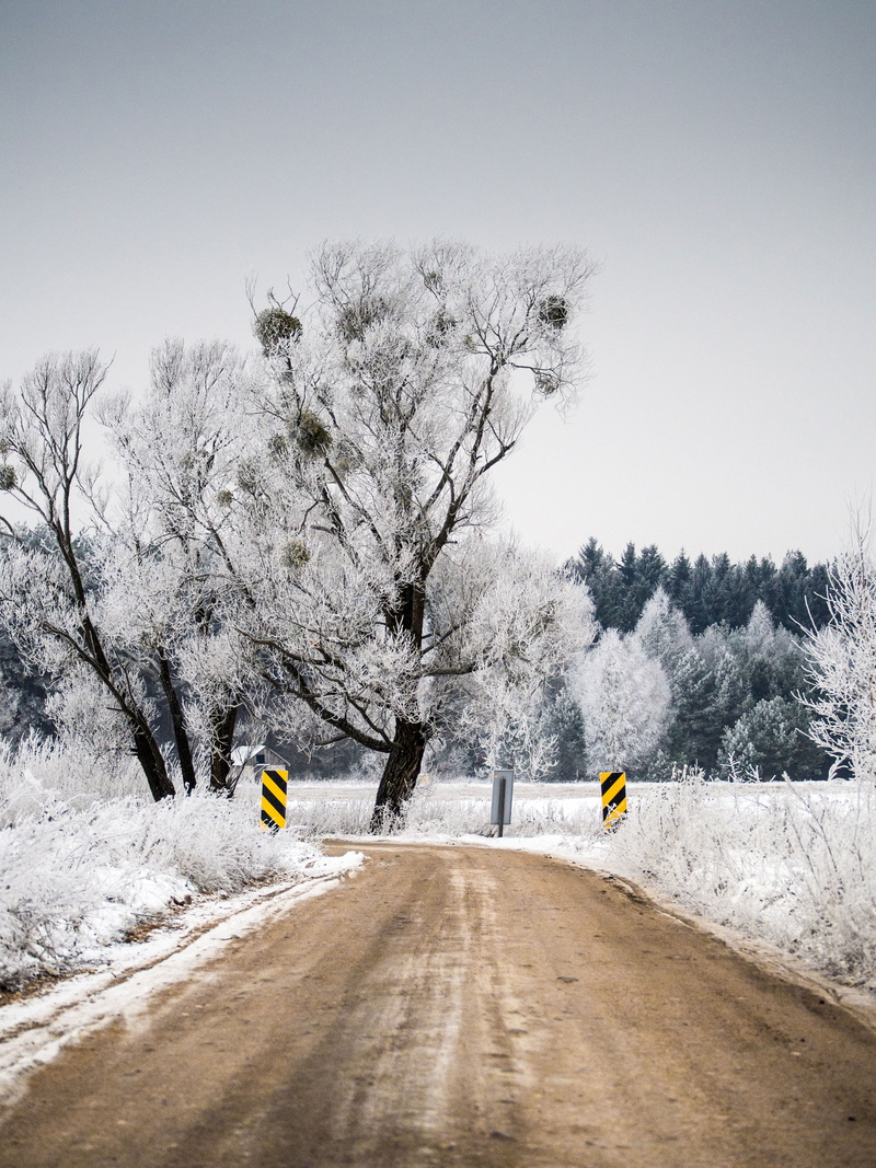 direction, two, dirt, nature, mode of transportation, snowing, empty, warning, clear sky, frozen, the way forward, snow, plant, yellow, motor vehicle, journey