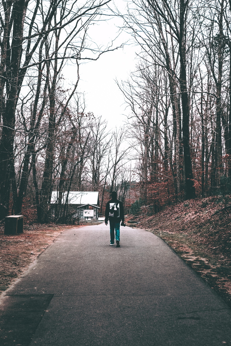 the way forward, nature, photographer, men, footpath, lifestyles, bare tree, coat, plant, tree, explore, adventure, leisure activity, walking, gravel, treelined