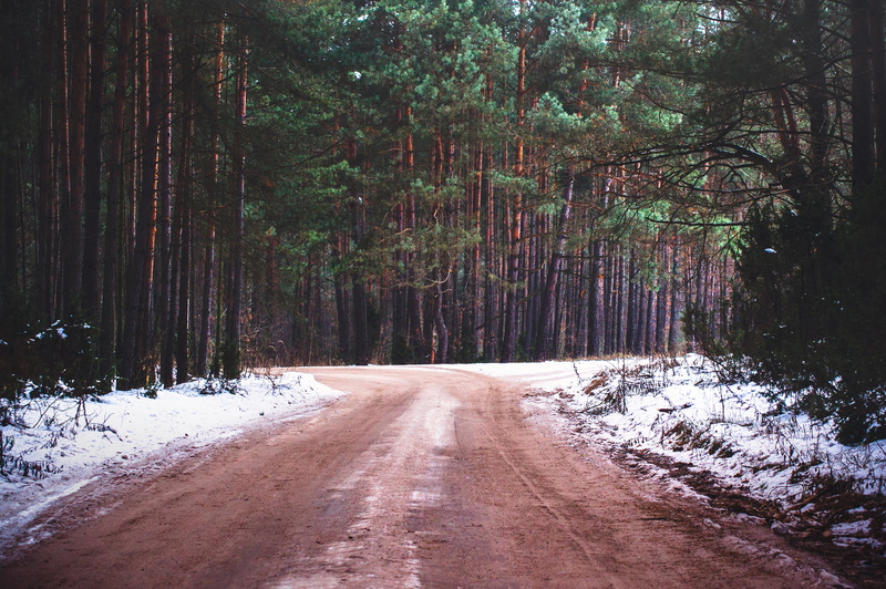dirt, outdoors, the way forward, transportation, scenics - nature, non-urban scene, tranquility, trees, woodland, nature, growth, direction, vanishing point