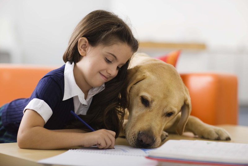 homework, friendship, 1080P, animals, girl, help, love