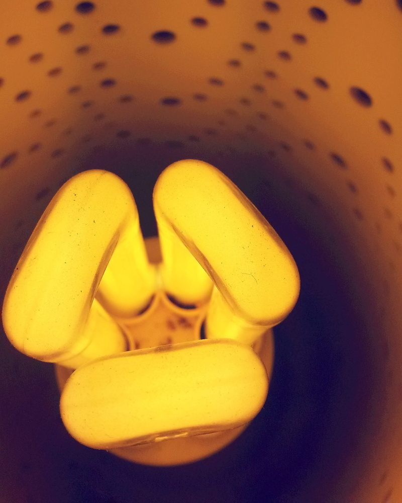 cfl light bulb, selective focus, dusty bulb, compact fluorescent light, no people, electricity, light bulb, cfl, technology, banana, compact fluorescent lamp