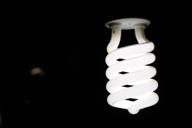 studio shot, cut out, power, energy, glowing, light, environmental conservation, spiral, fluorescent light, close-up, lighting equipment, bulb, 5K, indoors