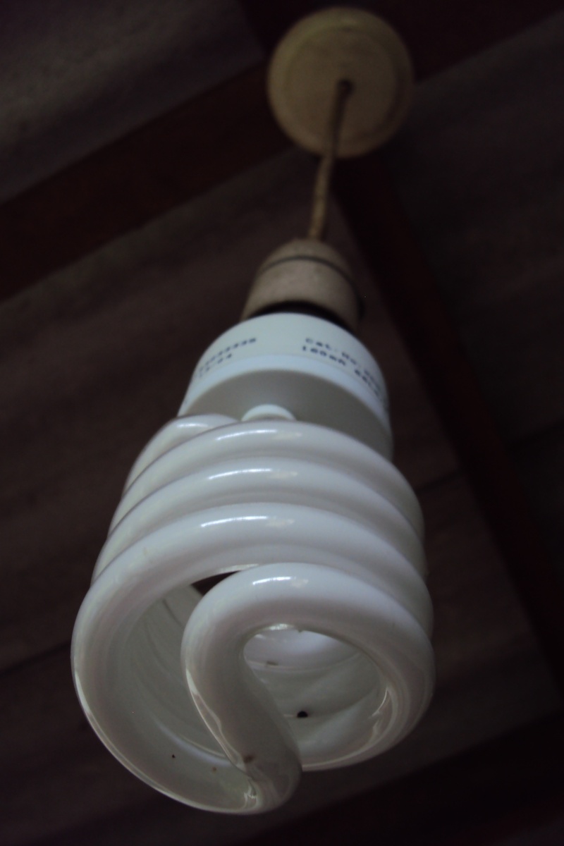 light bulb, table, focus on foreground, fluorescent, efficiency, illumination, illuminated, in a row, brainstorm, kilowatt, indoors, no people, innovation