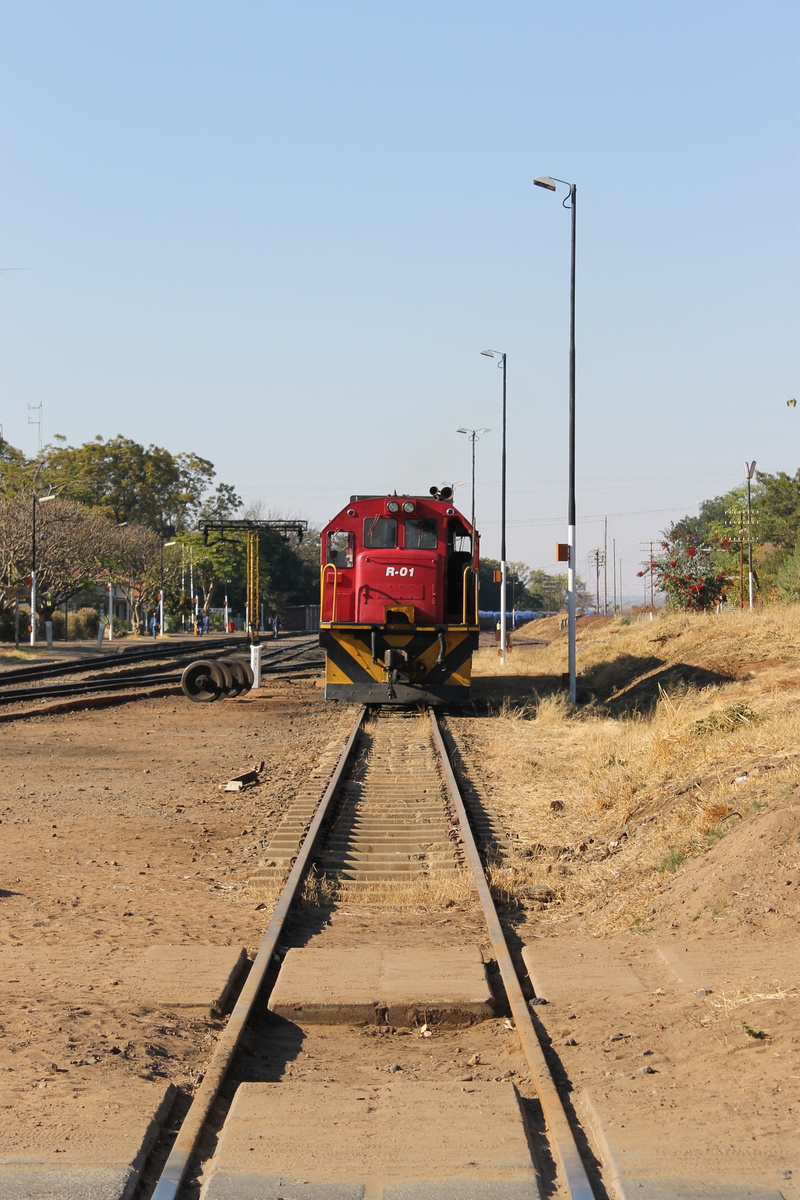 plant, rail transportation, nature, train, tree, land vehicle, diminishing perspective, day, sky, 4K, train tracks, outdoors, train - vehicle, transportation