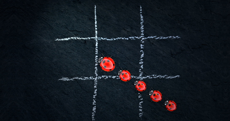 emotion, day, luxury, puzzle, tic tac toe, ladybirds, black background, studio shot, lucky ladybug, solution, cross, abstract, play, five, group of objects
