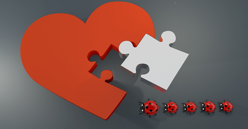 memory cards covered with, indoors, red, lucky ladybug, large group of objects, studio shot, joining together, cooperation, abstract, unity, heart shape
