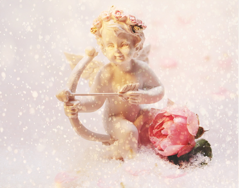 flowering plant, roses, day, luck, studio shot, nature, romantic, innocence, rose - flower, figure, connection, celebration, background, love oath, pink