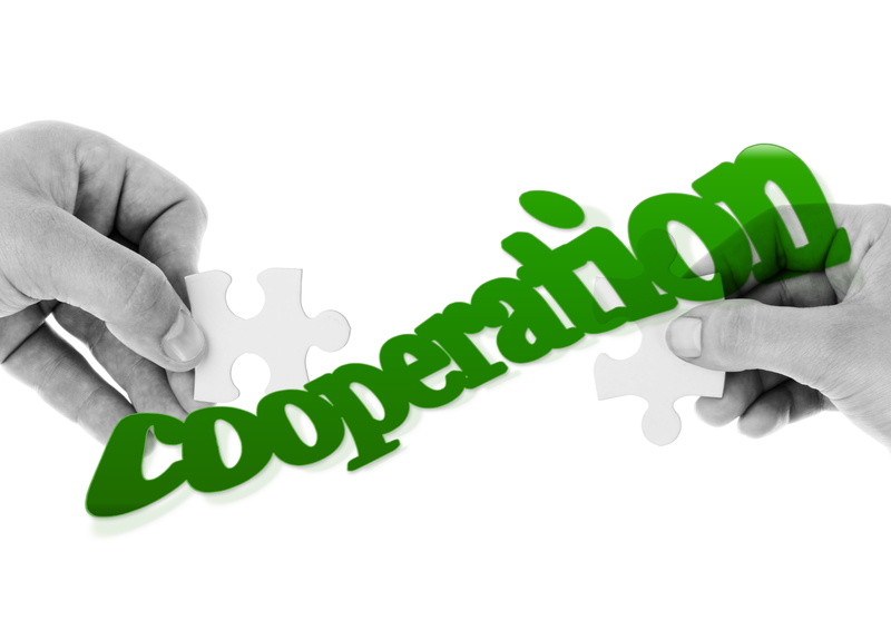 pieces of the puzzle, cohesion, white color, studio shot, 4K, together, business, connection, joining together, Puzzle, hand, concepts, teamwork, partnership