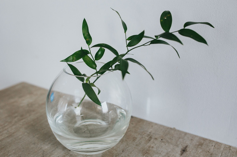 plants, plant part, household equipment, table, water, decor, drinking glass, Home decor, purity, green plants, decoration, transparent, home, calendar