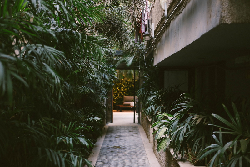 absence, environment, paved pathway, path, green color, garden, growth, building, 4K, built structure, leaf, dark green, building exterior, house, pavement