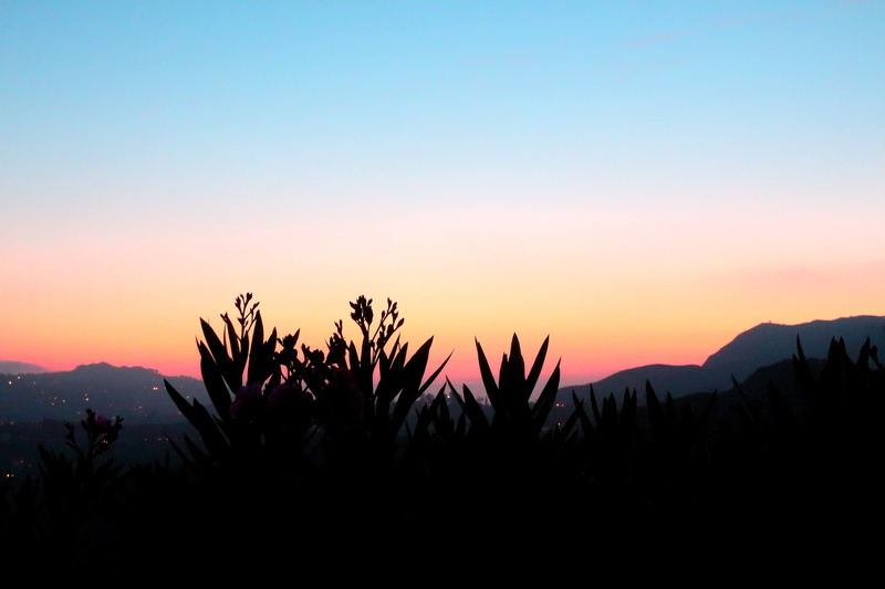 5K, scenics, sunrise - Dawn, outdoors, tree, tranquility, sunset, dusk, twilight, clear sky, idyllic, red, plant, nature, morning, hill, beauty In Nature