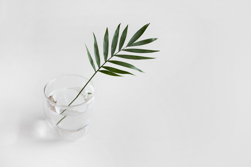 leafe, 5K, household equipment, close-up, drinking glass, green, no people, white background, food and drink, top, freshness, plant part, botanical, photo