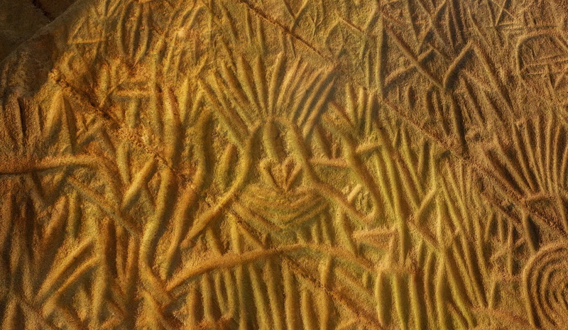 art and craft, history, textured effect, kerala, cereal plant, archeology, heritage, full frame, nature, Ancient, decoration, gold colored, civilization