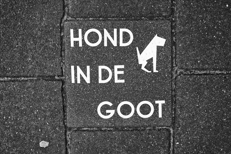 pavement, capital letter, no people, western script, city, cleanliness, information, urban, prohibition, sidewalk, outdoors, paving stone, road, tile, dog