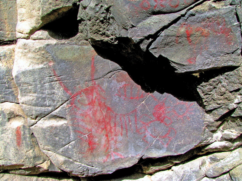 symbol, weathered, usa, pictograph, full frame, pattern, red, tribal, plant part, drawing, fossil beds, wall - building feature, high angle view, outdoors