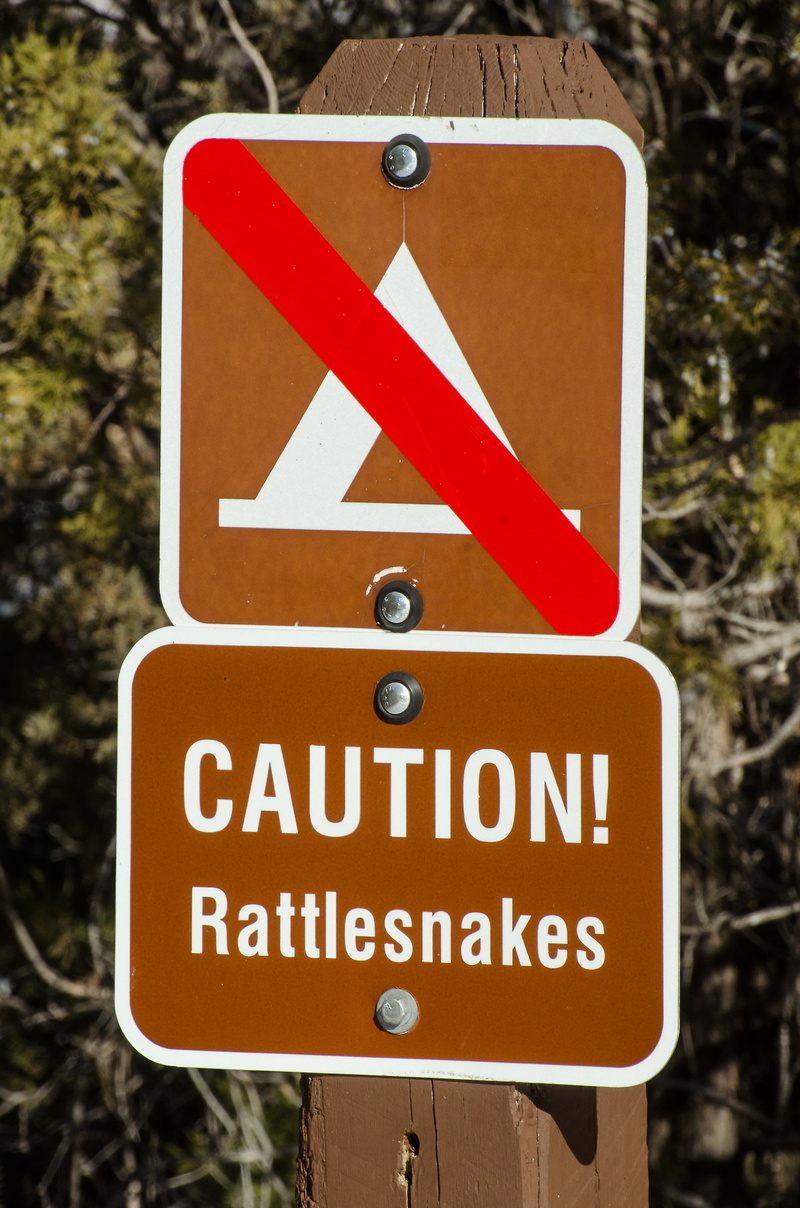 focus on foreground, information, caution rattlesnakes, sign, road sign, no people, non-western script, Rattlesnakes, safety, red, warning sign, information sign