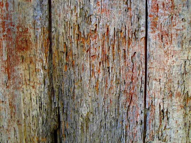 no people, backgrounds and textures, needs redecorating, texture, textured, backgrounds textures, pattern, grunge, close-up, full frame, reconstruction project