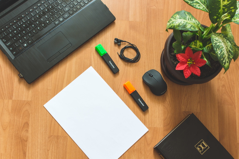 paper, wooden, electronics, plant, wooden table, apple mouse, black, table, office, wireless, desk, business, surfac, indoors, computer keyboard, flower