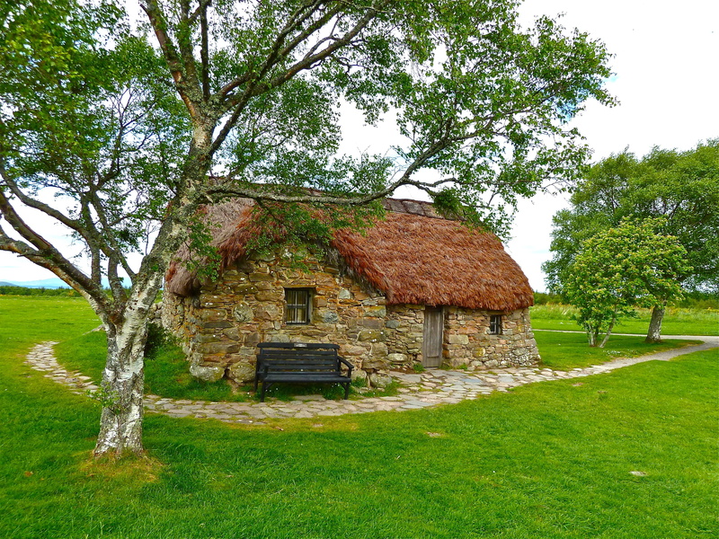 old, small house, building exterior, home, farmhouse, scenic, near, agriculture, forest, fields, green, architecture, tree, day, farm house, house, outside