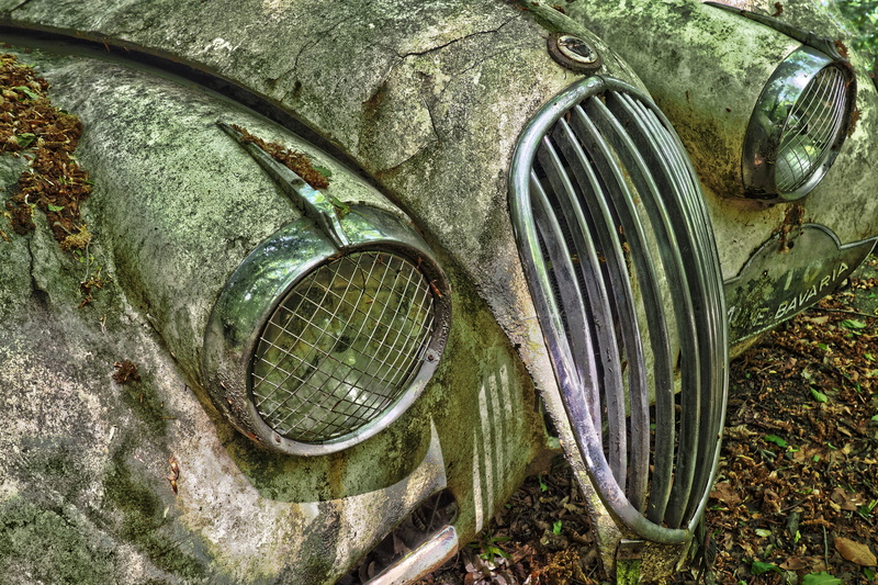 jaguar xk c-type, broken, lost place, leave, messy, auto, lost places, rusty, nostalgia, headlight, dirty, wreck, forget, mode of transportation, classic