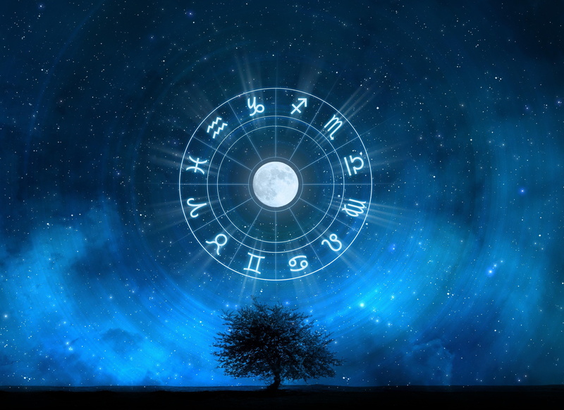night, signs, sings, nature, starry, circle, tree, zodiac, 4K, sky