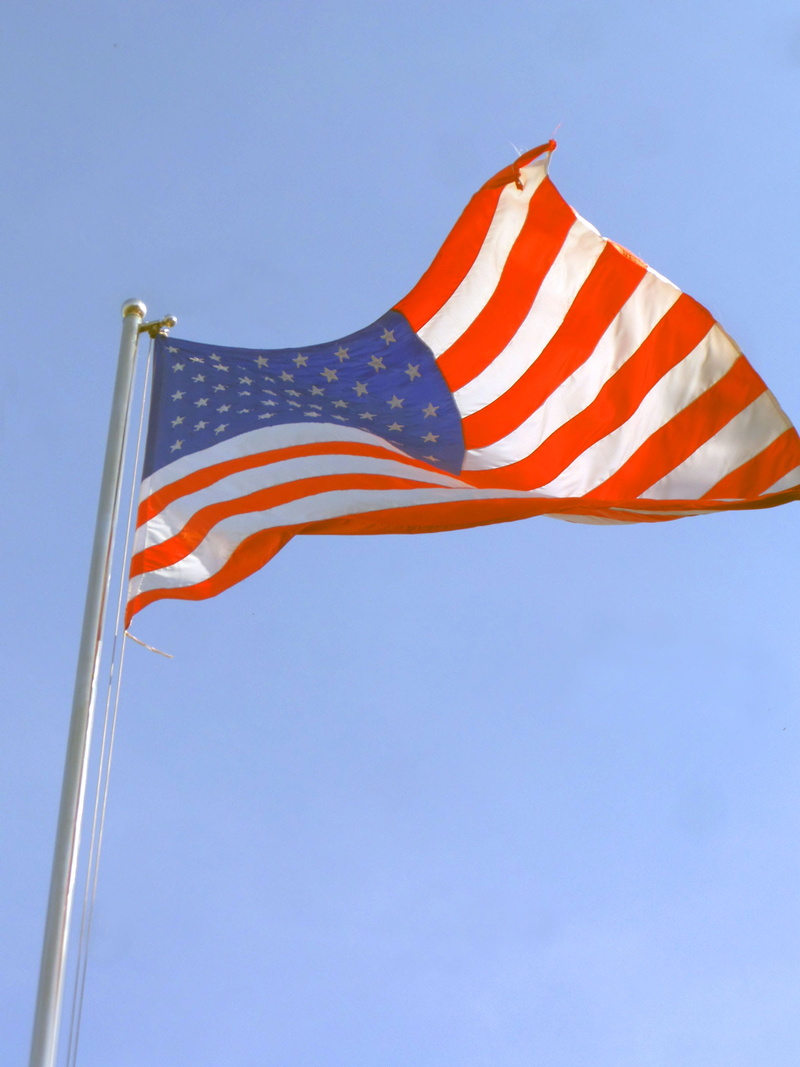national icon, emotion, american, national, independence, united, usa, patriotism, red, blue, no people, democracy, waving, nature, day, flag, freedom