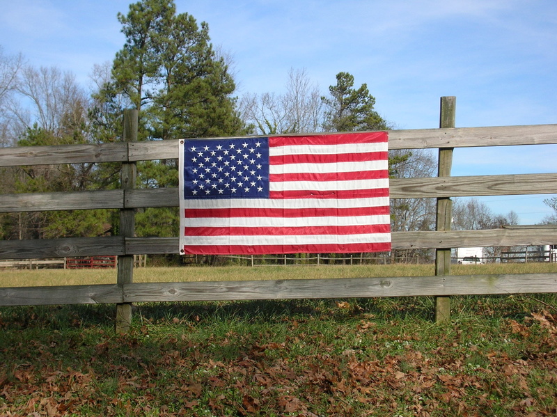 states, tree, red, United States of America, boundary, no people, countryside, field, america, 1080P, nature, grass, united, striped, patriotism, outside