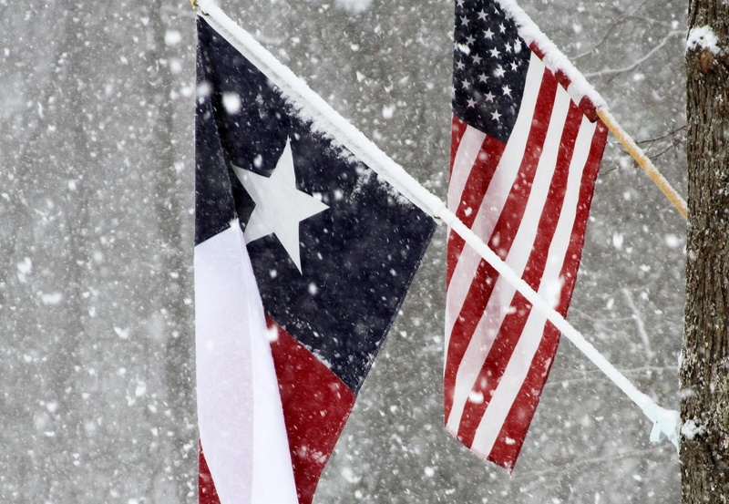 usa, snowing, country, texan, america, 1080P, hanged, nation, texas, red, tree, blizzard, extreme weather, nature, star, symbol, patriotic, state, flag