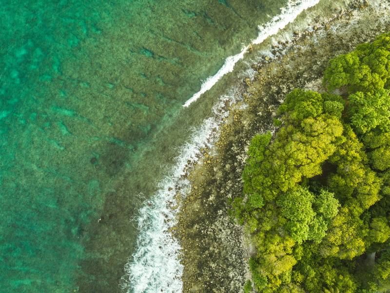 beach, nature, sea, corel, scenics - nature, land, beautofulmaldives, reef, tranquil scene, trees, idyllic, green color, water, no people, growth
