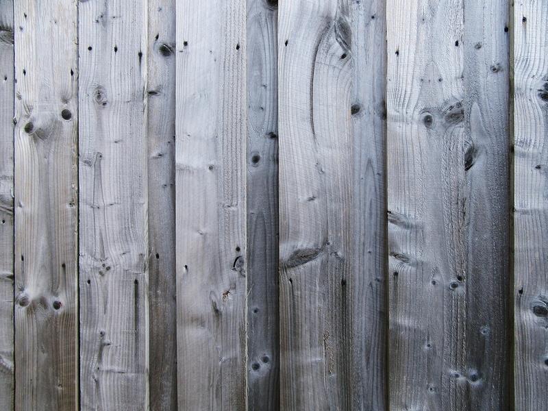 close-up, outdoors, blue jay, backgrounds, day, wood paneling, word, wall - building feature, wood grain, deck, bridge, barrier, fence, picket, theme park
